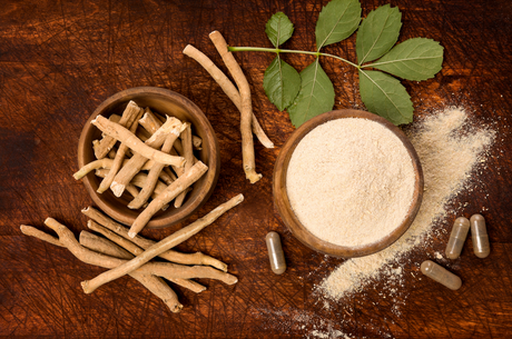 Fadogia Agrestis vs Ashwagandha