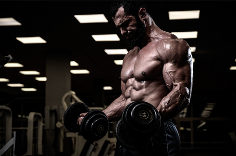 Does Fadogia Agrestis Increase Testosterone?