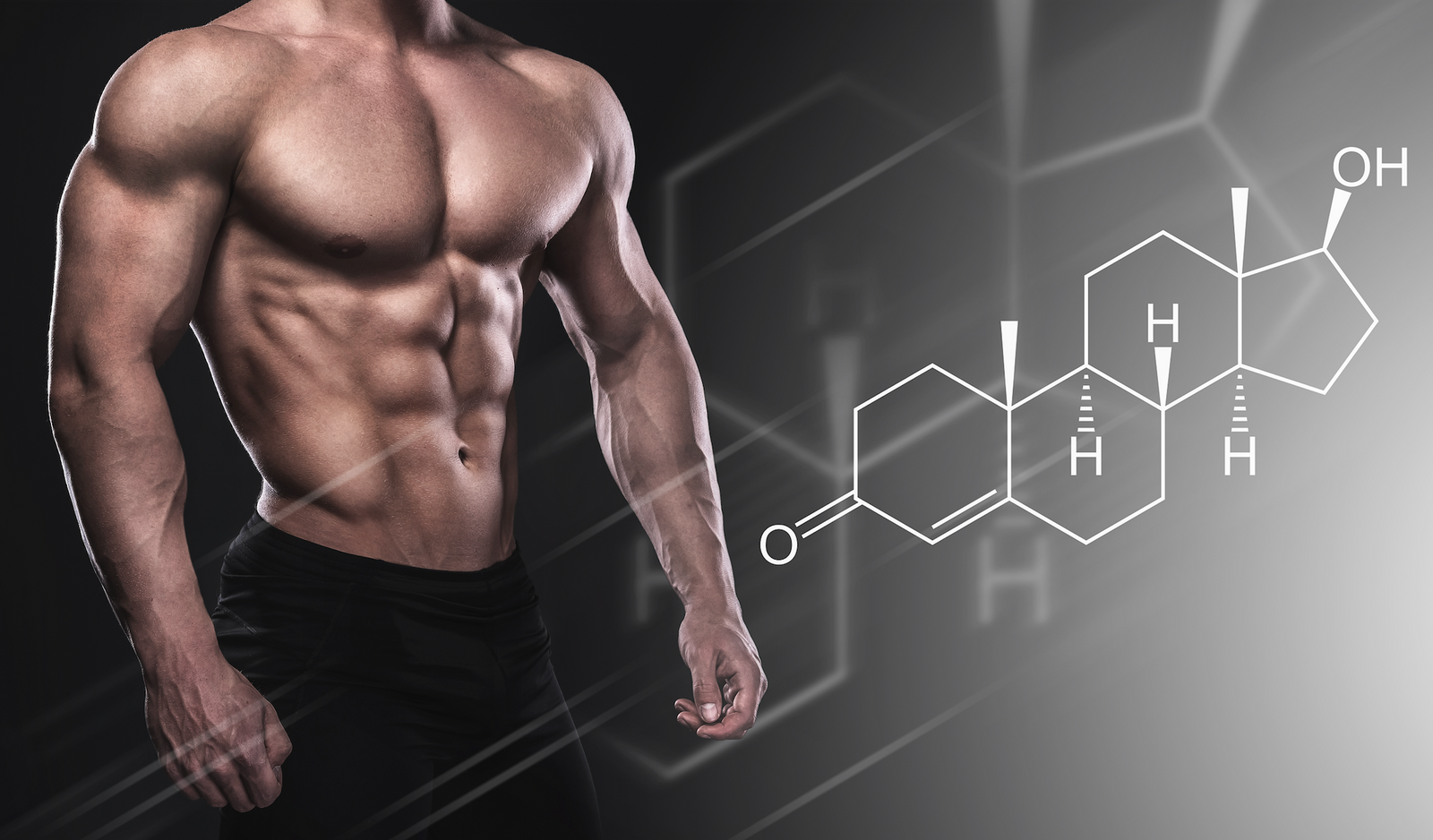 What Does Turkesterone Supplement Do?