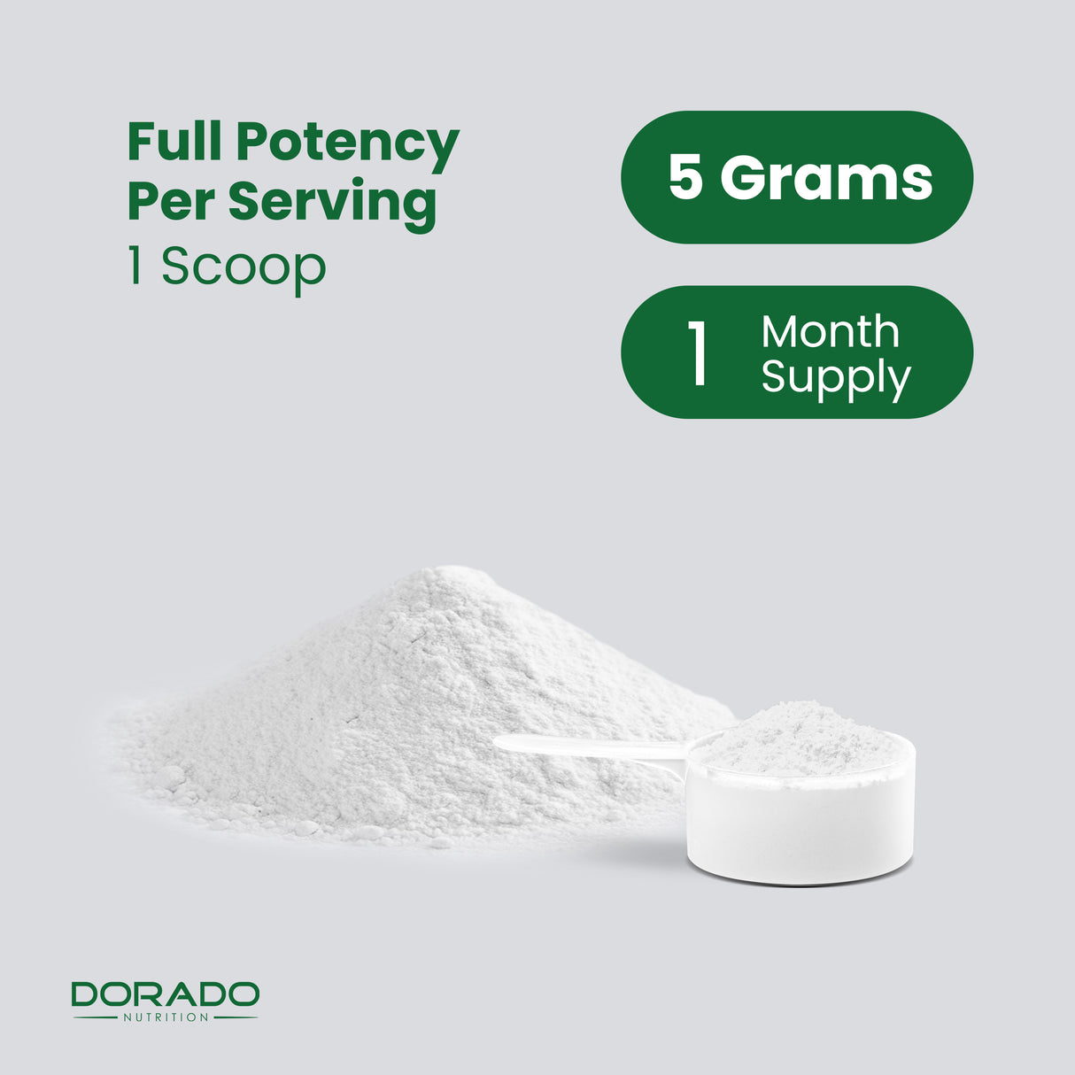 Creapure Creatine Monohydrate Powder