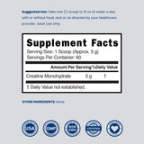 Creatine Monohydrate Powder (60 Servings) for Men & Women