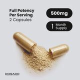 Epicatechin Extract (500mg)