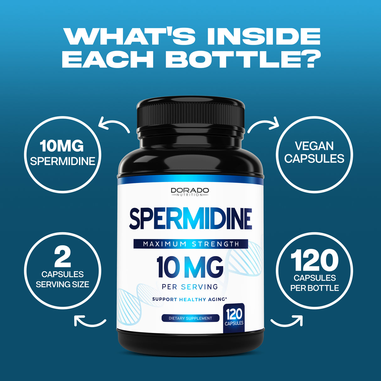 Spermidine Supplement - (120 Capsules)